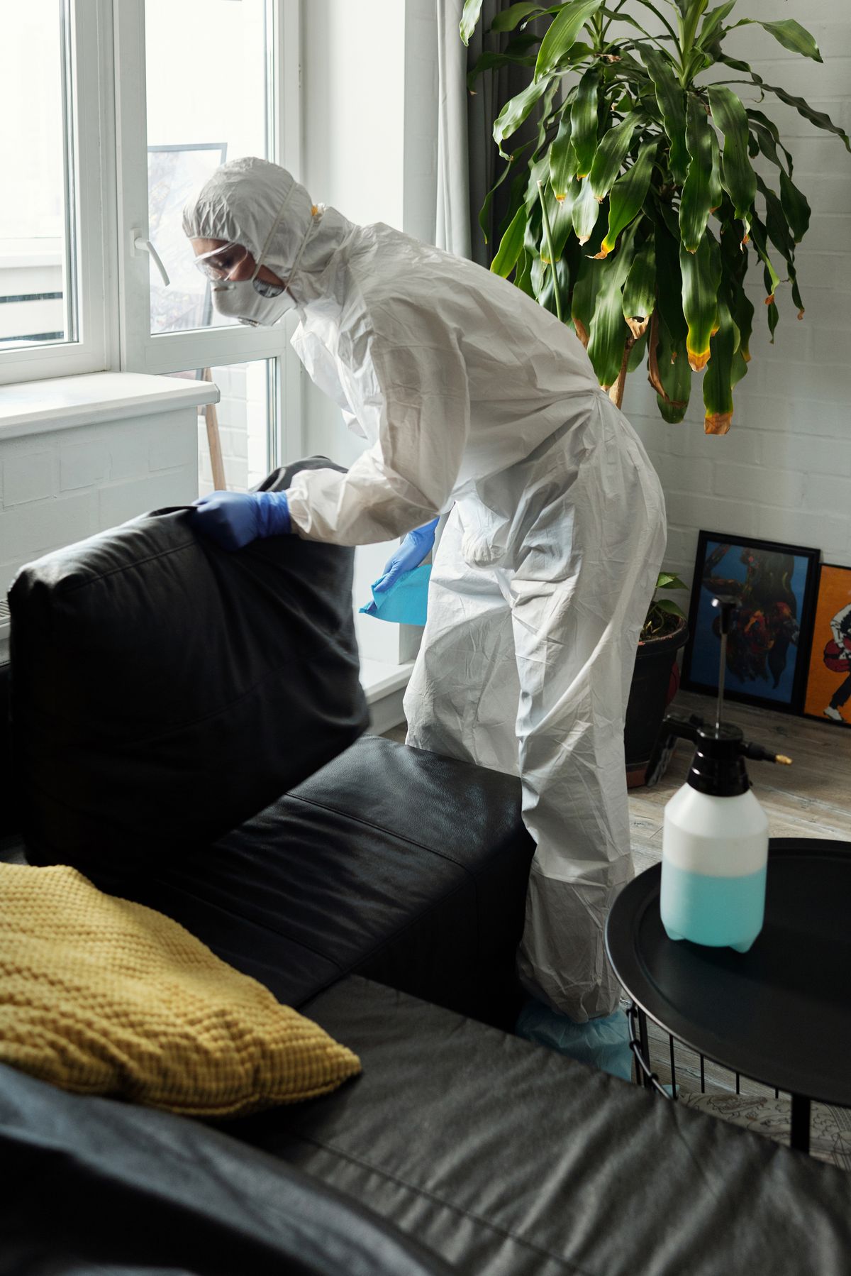 Profissional aplicando produto de higienização em um sofá